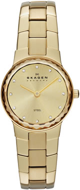 Ladies Skagen Watch SKW2073
